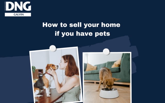 How to sell your home if you have pets