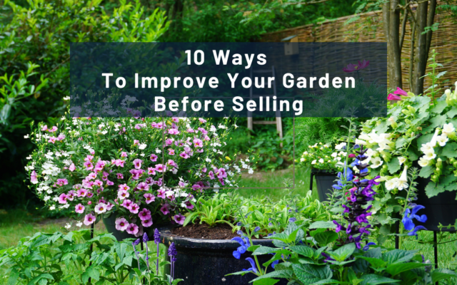 10 Ways to Improve Your Garden Before Selling Your Property