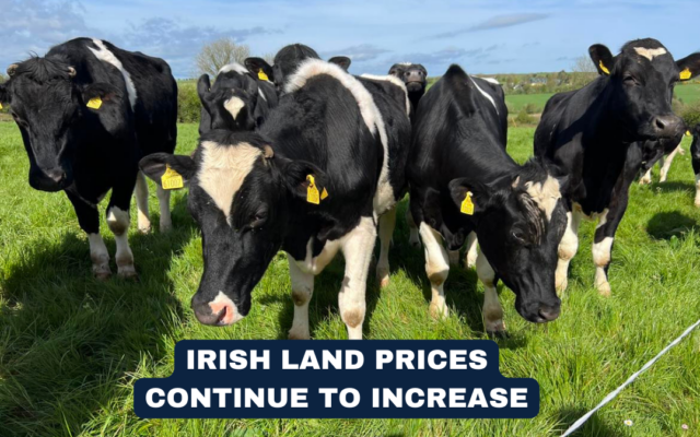 Cork Land Prices and Market Trends