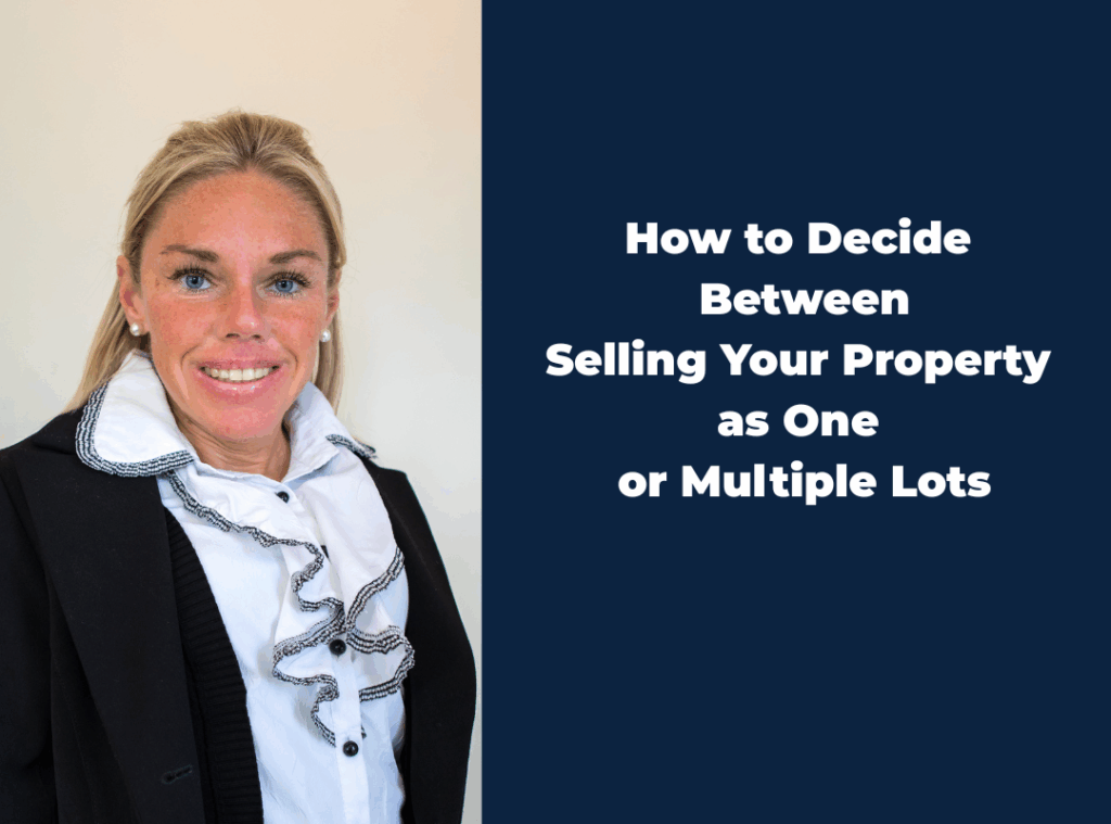 Selling Property in West Cork – One Lot or Two?