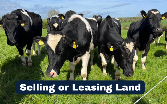 Selling or Leasing Land in West Cork