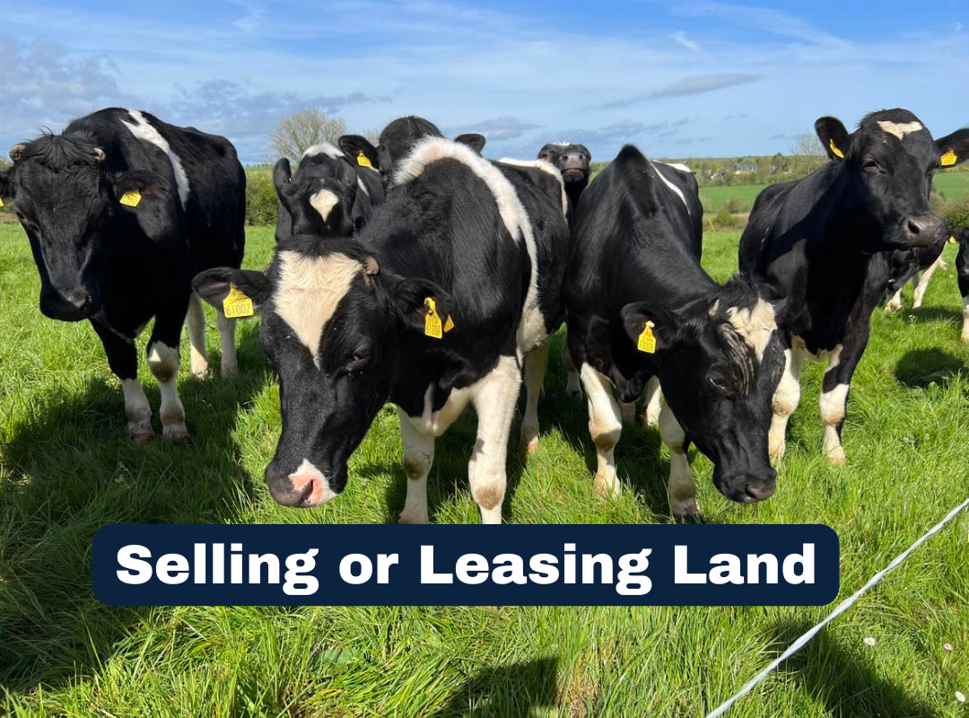 Selling or Leasing Land in West Cork